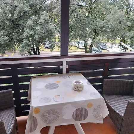 Apartment Zovko Poreč Exterior foto